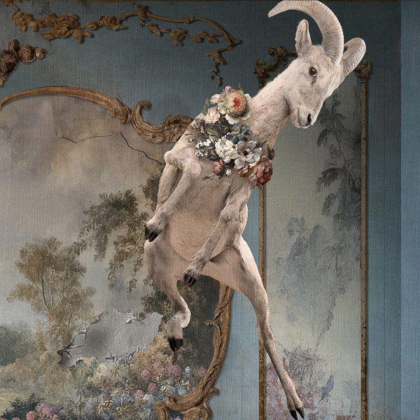 In "High Tea" by Corinne Geertsen, a Bighorn sheep jumps high in a Rococo room.